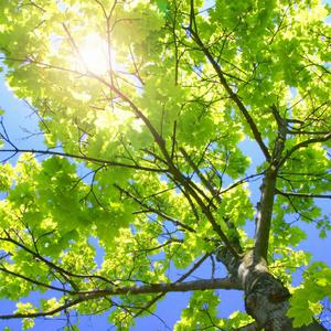 DERRIXON动画下载
